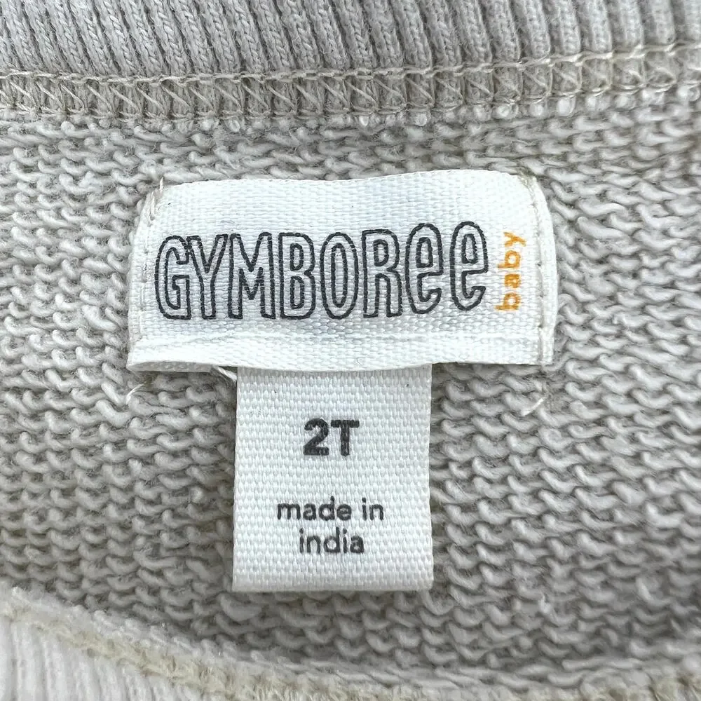 Gymboree Size 2T Lot of Two Sweatshirts Rainbow Surf Pride